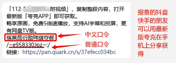 中文口令码分享入口
