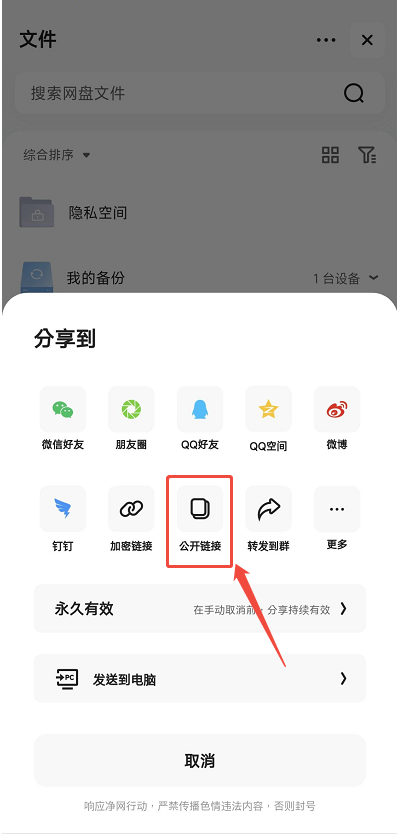 选择公开链接